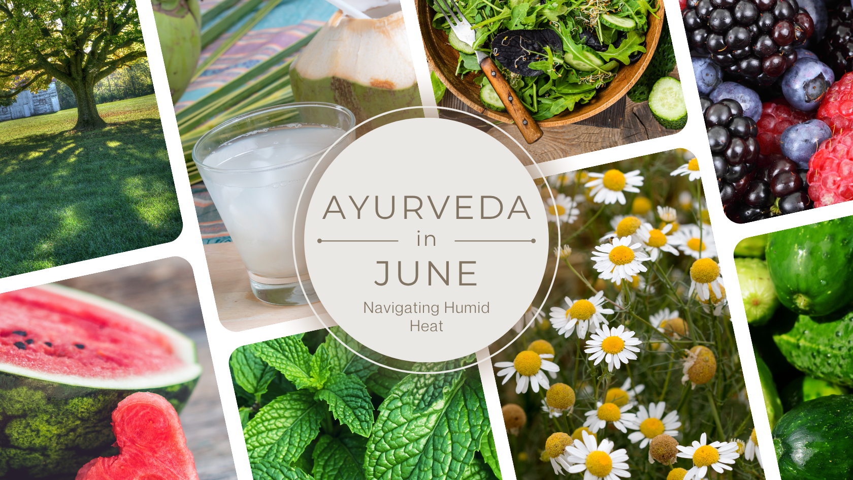 Ayurvedic summer wellness guide showing cooling foods, herbs and lifestyle tips for balancing Pitta, Kapha and Vata doshas during June's humid heat